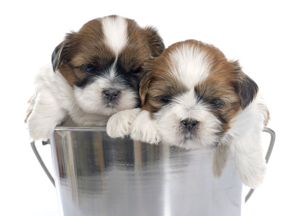 Question of the Week